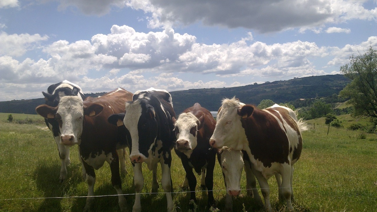 Photo of Outdoor in Colombier-le-Vieux