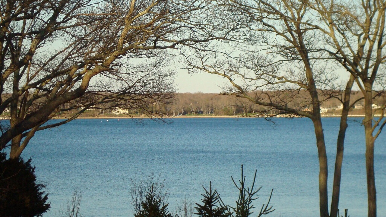 Photo of Others in East Hampton