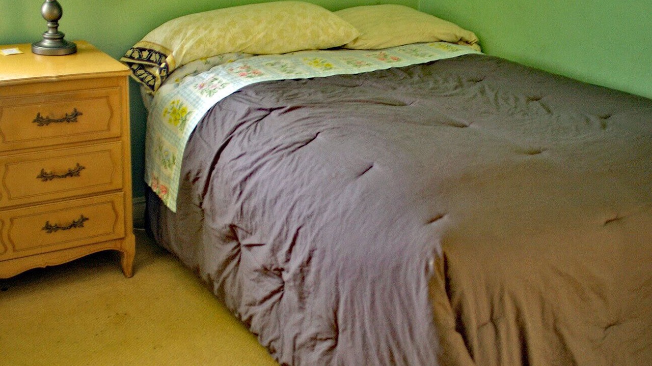 Photo of Bedroom in Downtown Berkeley