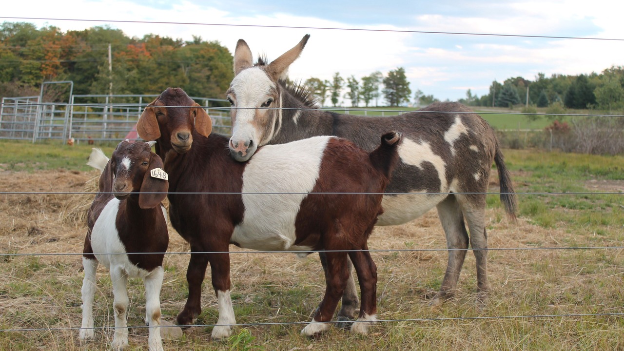 Photo of Others in Granville Summit