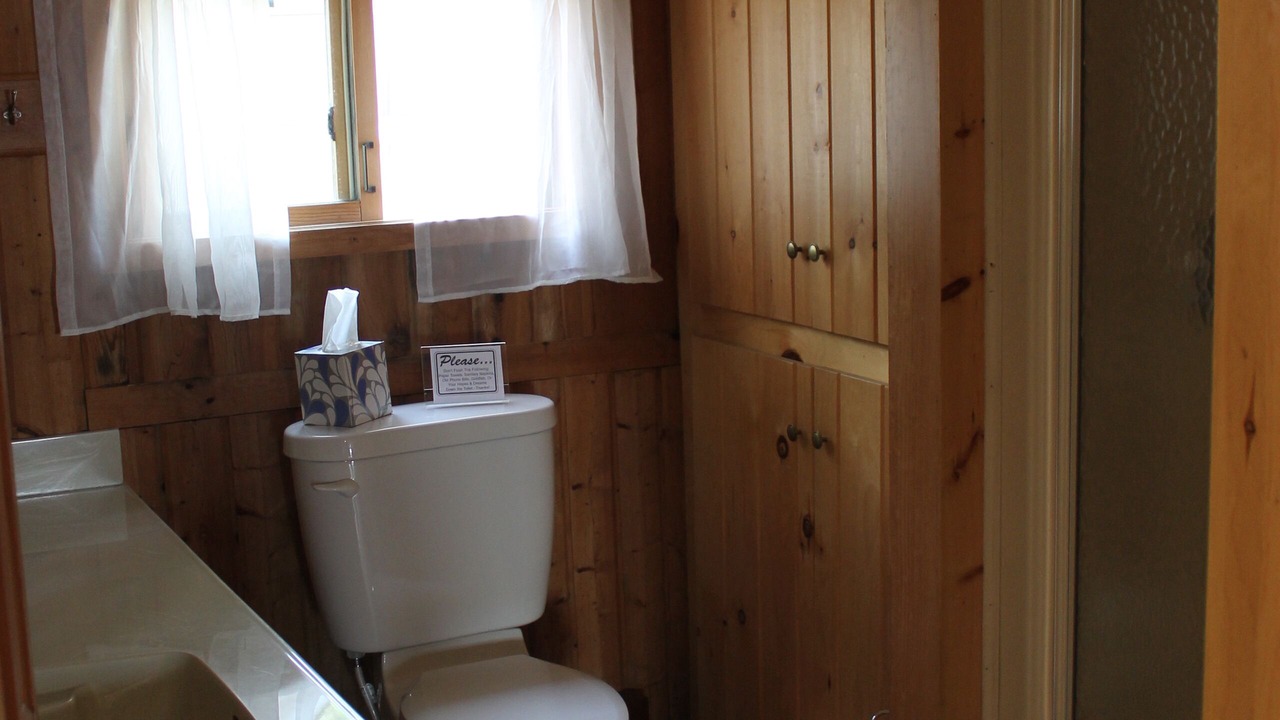 Photo of Bathroom in Bear Lake