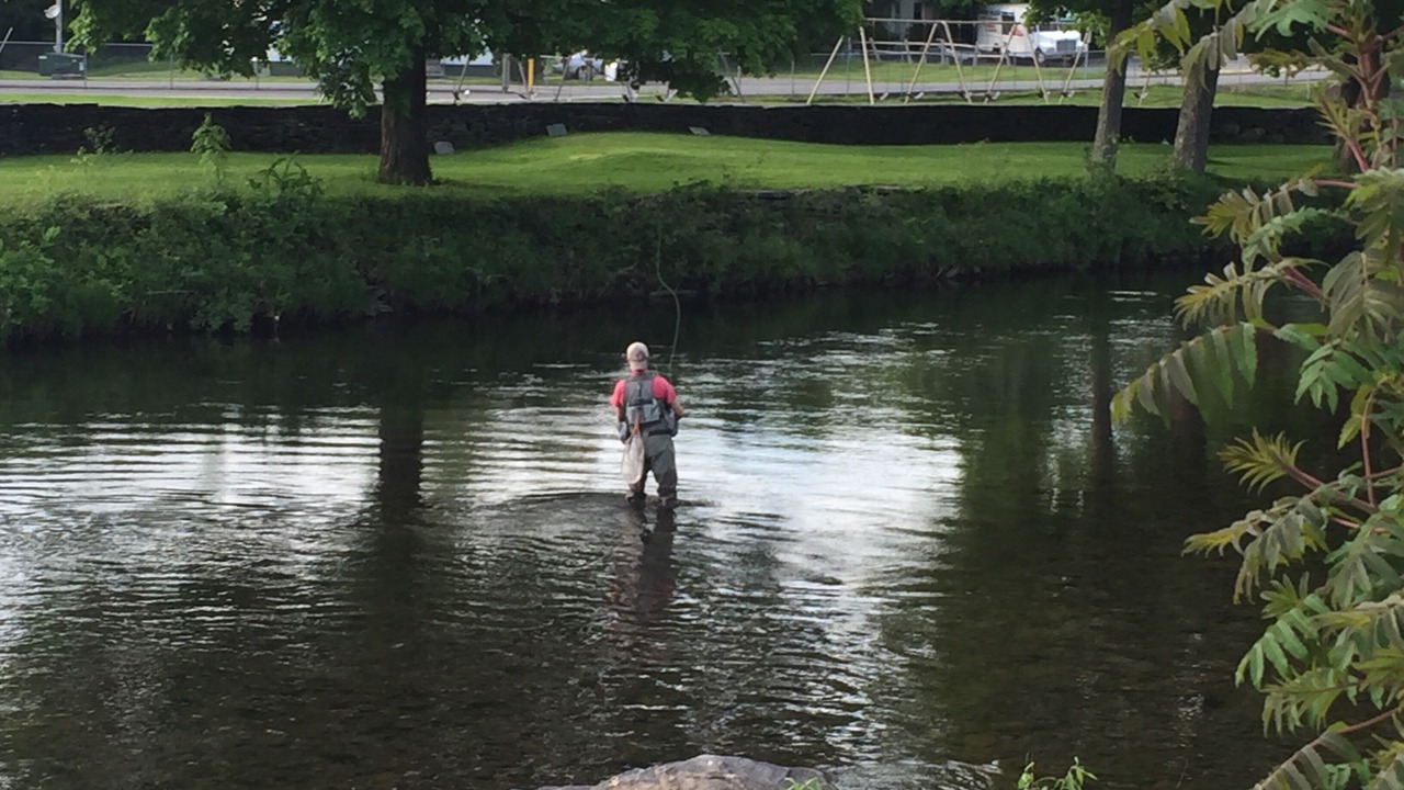 Photo of Others in Livingston Manor