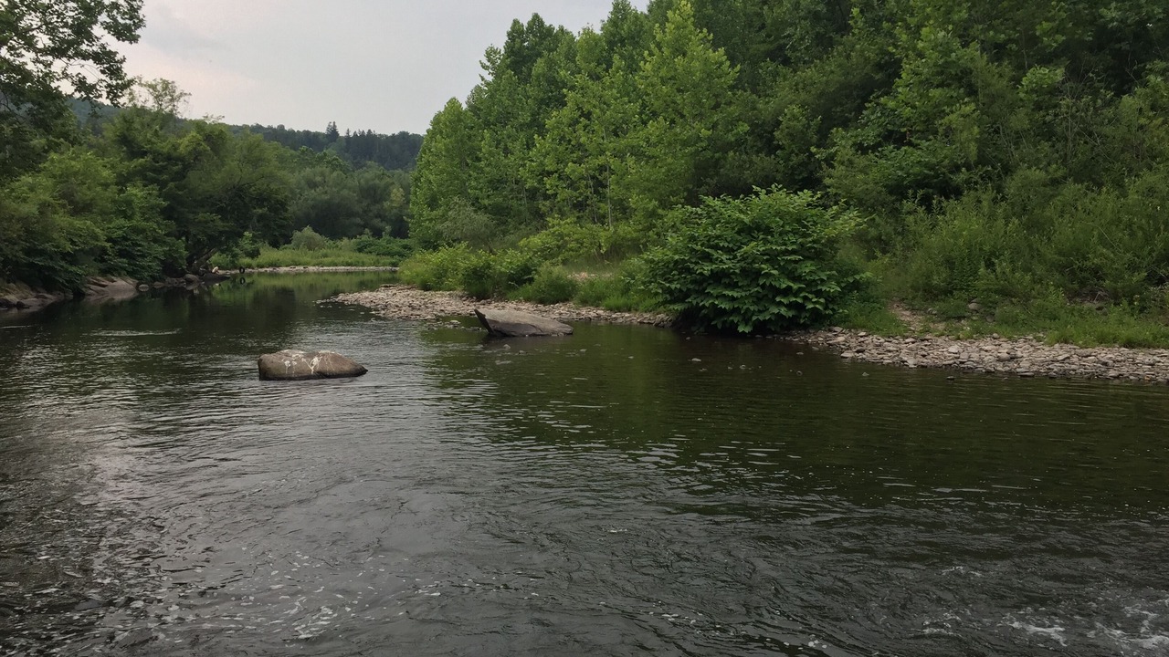 Photo of Outdoor in Livingston Manor