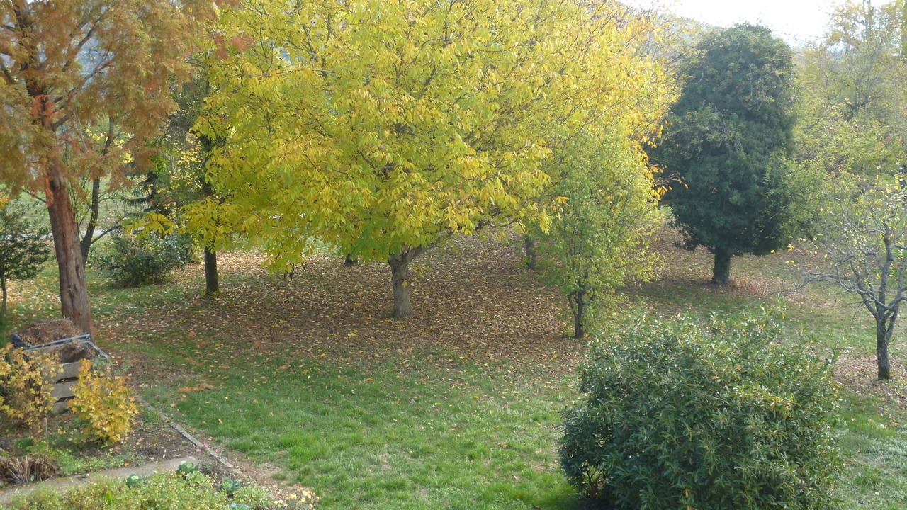 Photo of Outdoor in Weilheim