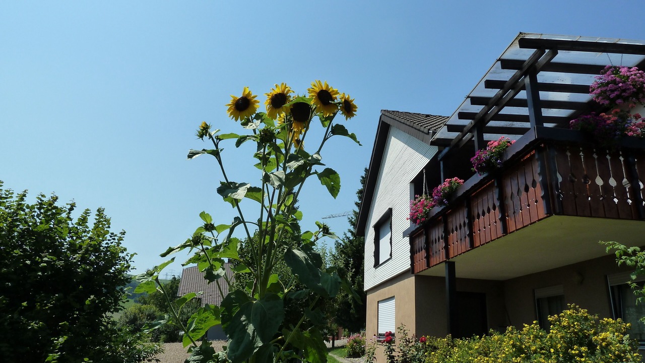 Photo of Outdoor in Weilheim