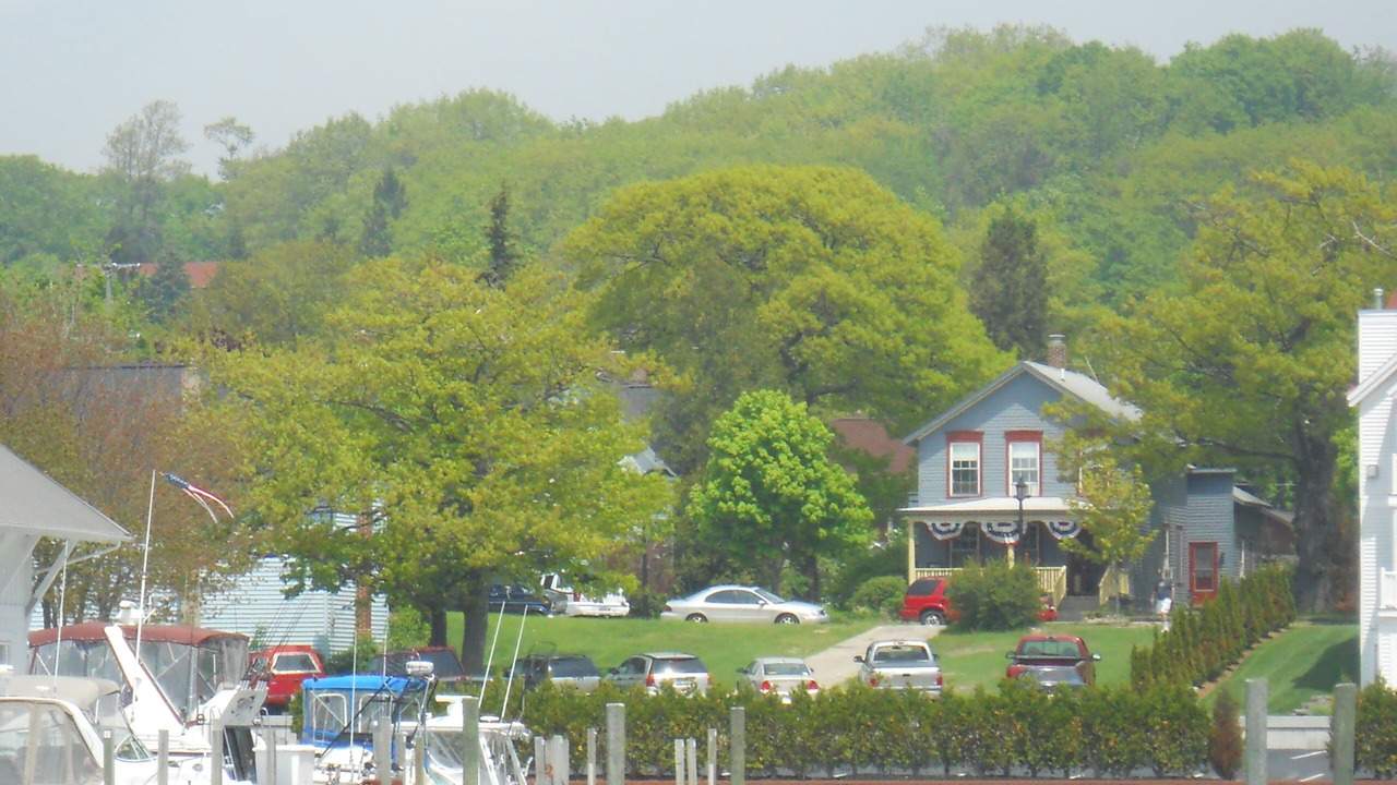 Photo of Others in Frankfort