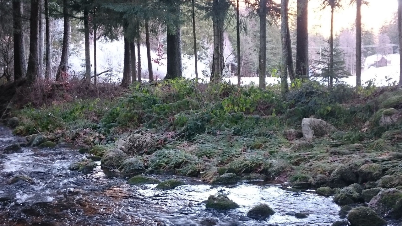 Photo of Outdoor in Ottersweier