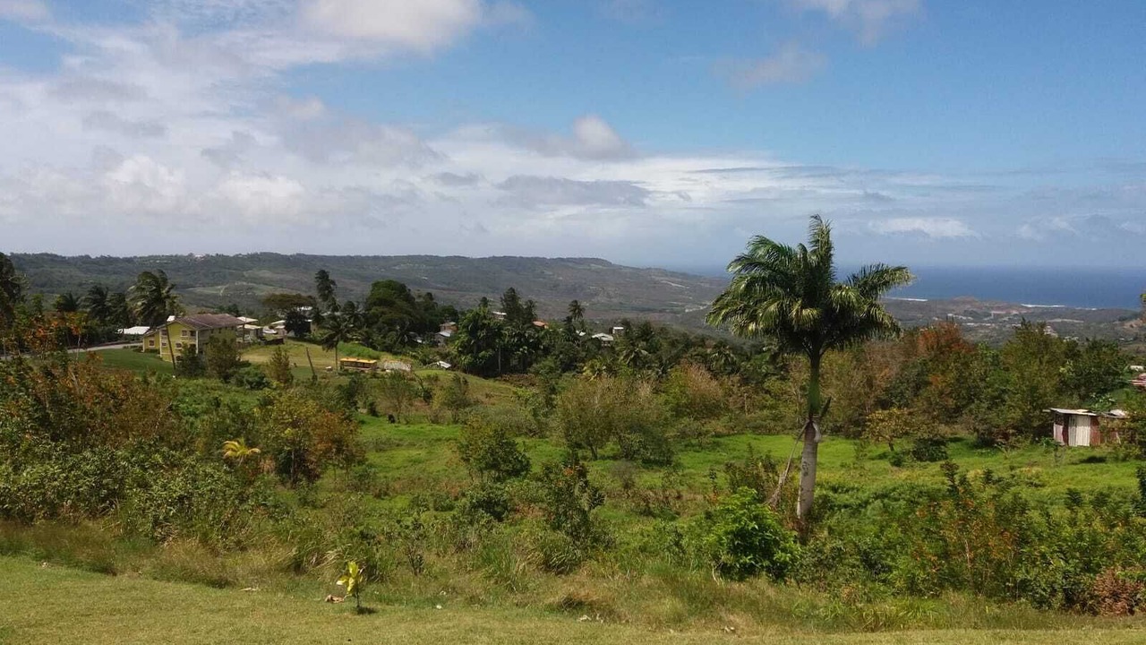 Photo of Others in Apes Hill