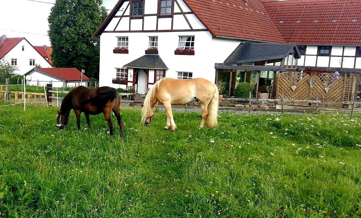 Photo of Outdoor in Brilon