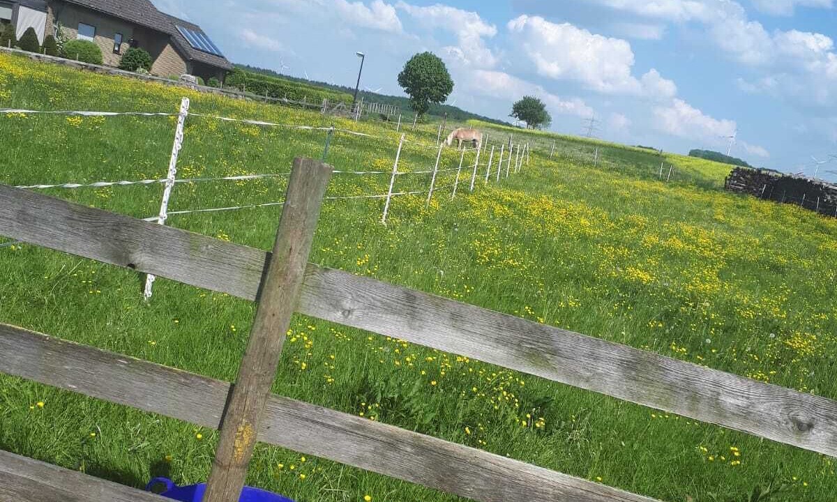 Photo of Outdoor in Brilon