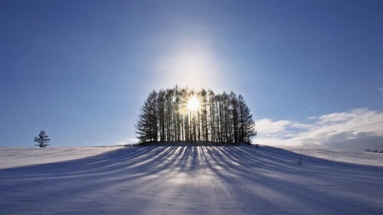 Photo of Others in Asahikawa