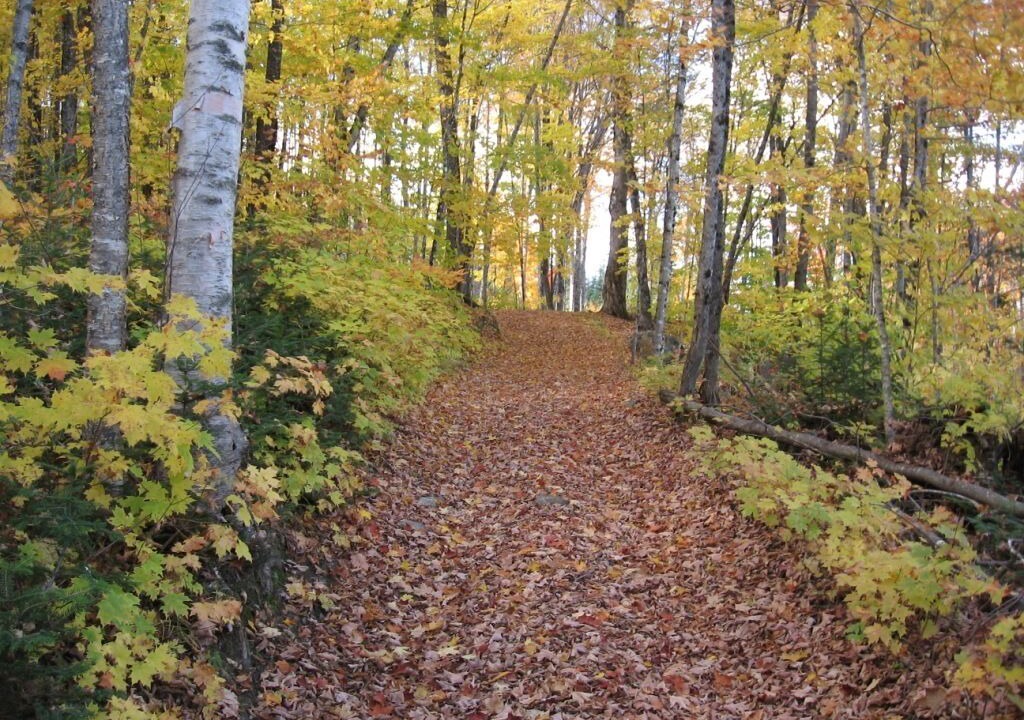 Photo of Outdoor in Sutton