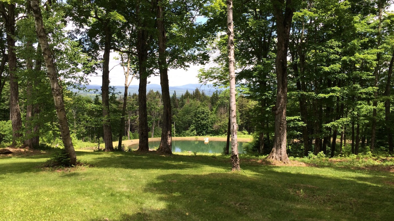 Photo of Outdoor in Sutton