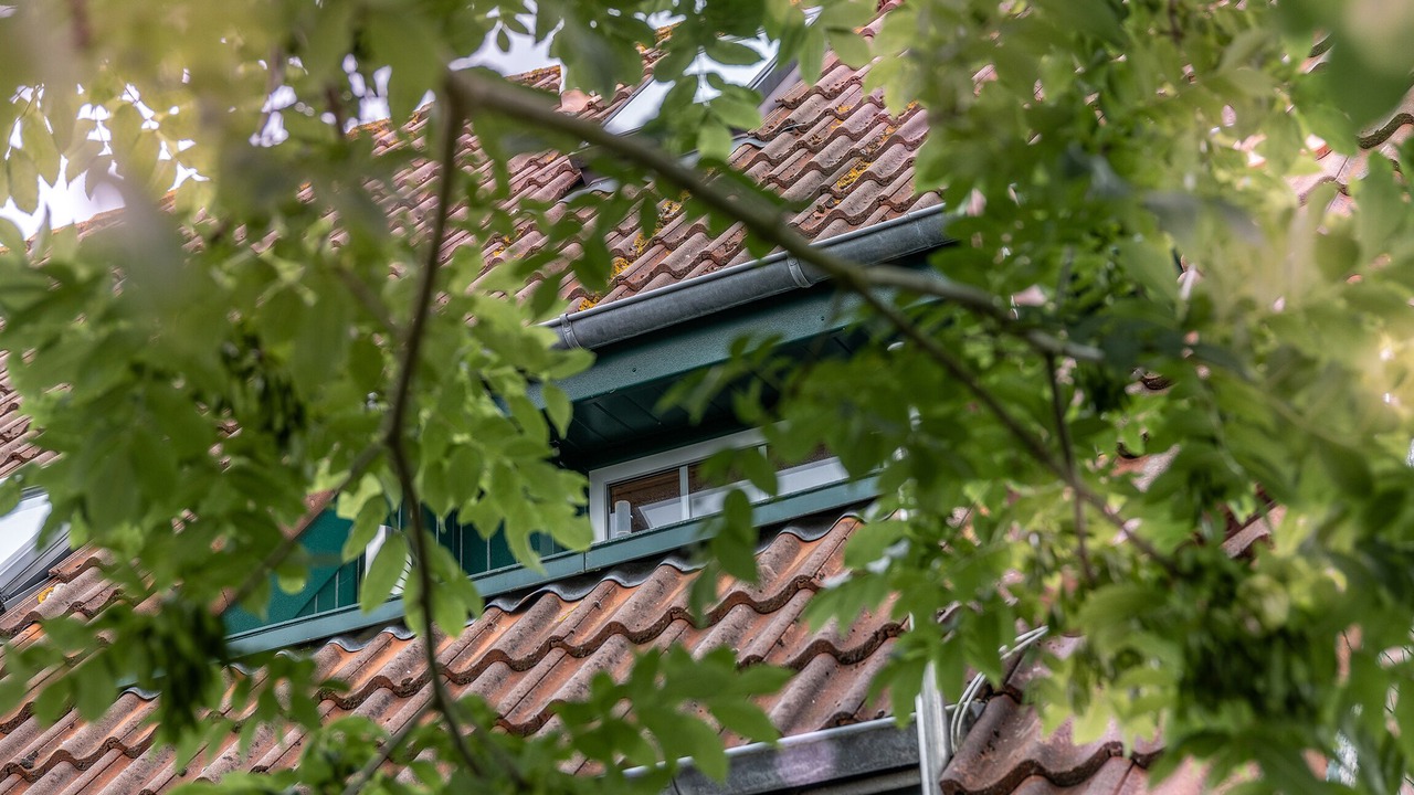 Photo of Outdoor in Carolinensiel