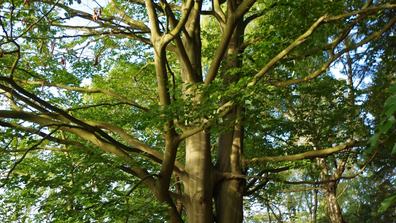 Photo of Outdoor in Temmen-Ringenwalde