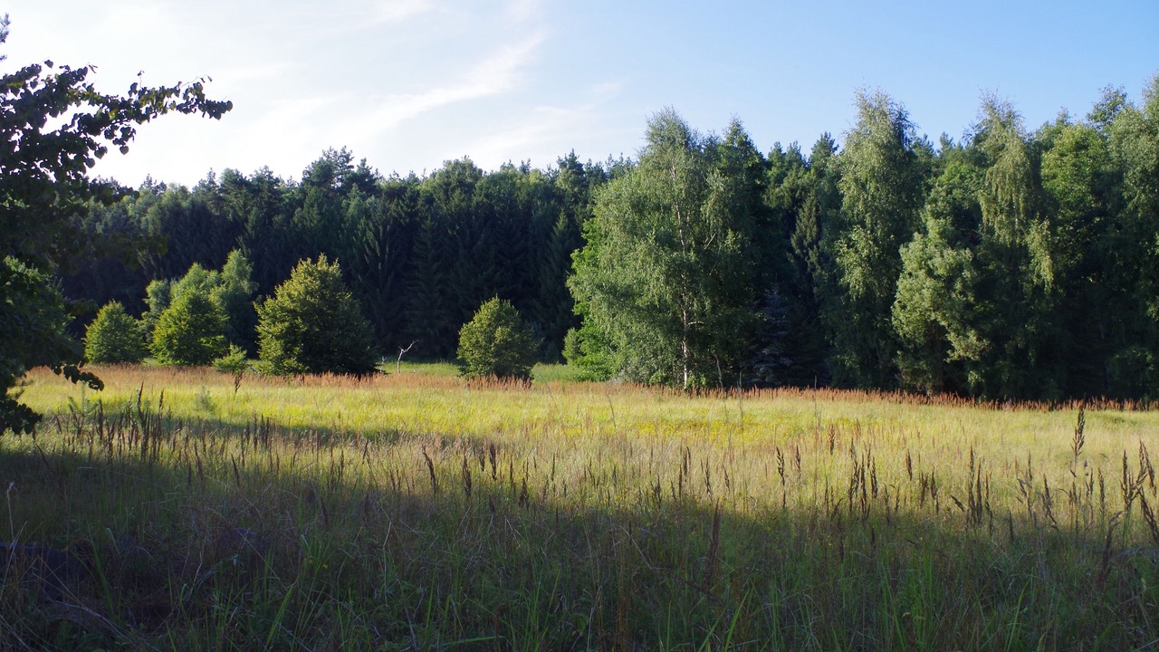 Photo of Others in Temmen-Ringenwalde