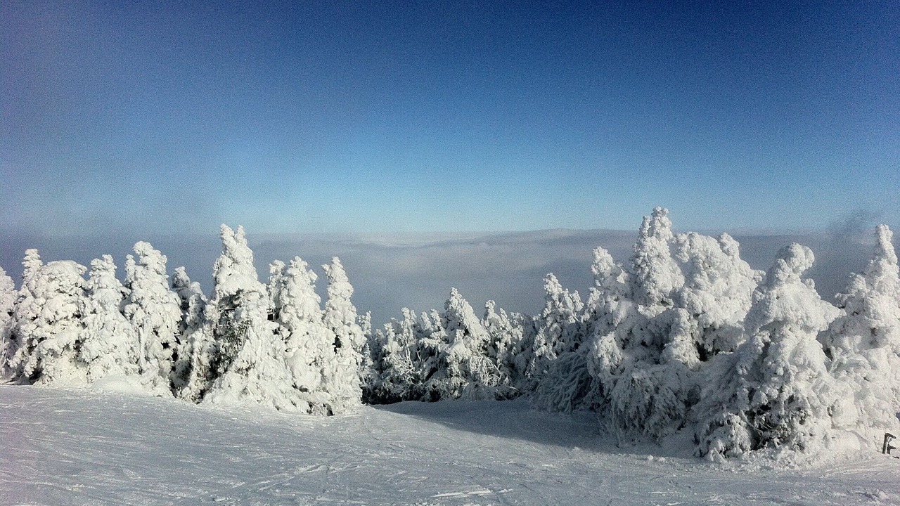 Photo of Others in Killington