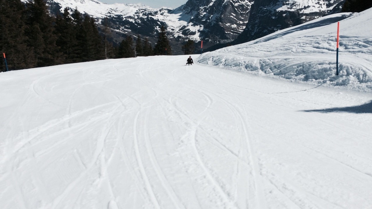 Photo of Others in Grindelwald