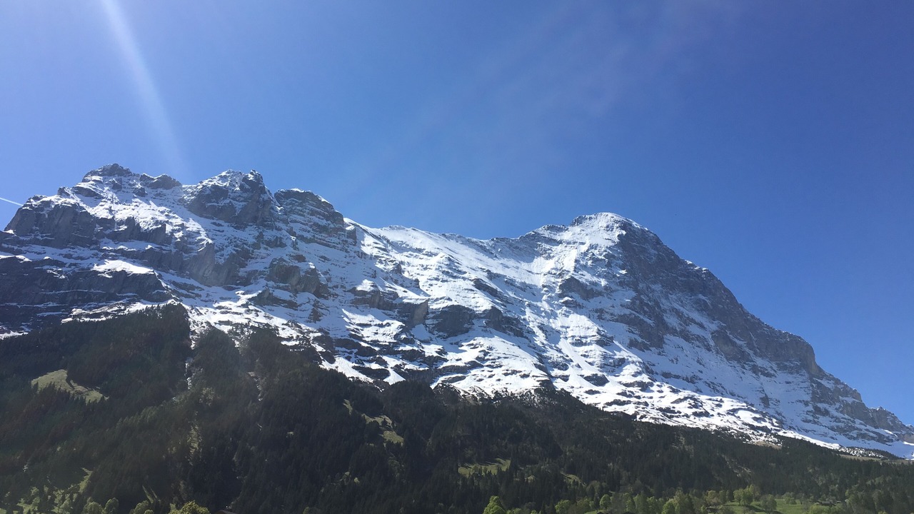 Photo of Others in Grindelwald