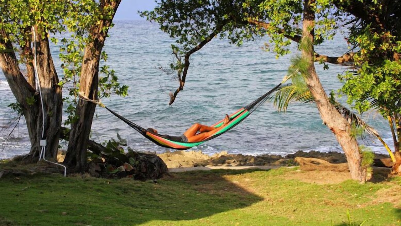 Photo of Others in Robins Bay