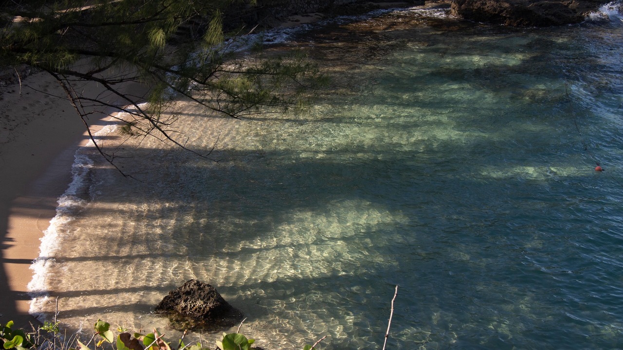 Photo of Others in Robins Bay