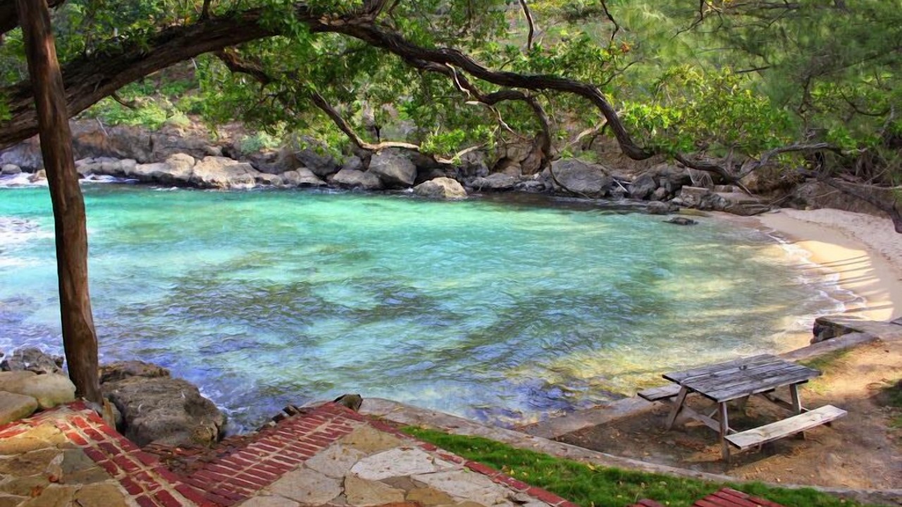 Photo of Others in Robins Bay