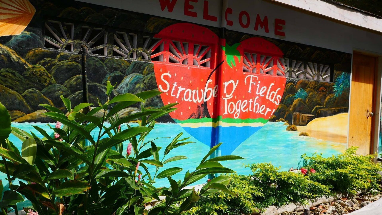 Photo of Others in Robins Bay
