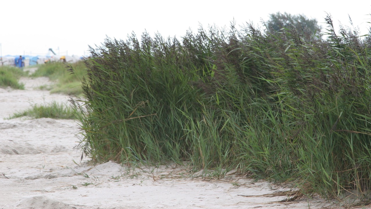 Photo of Outdoor in Horumersiel