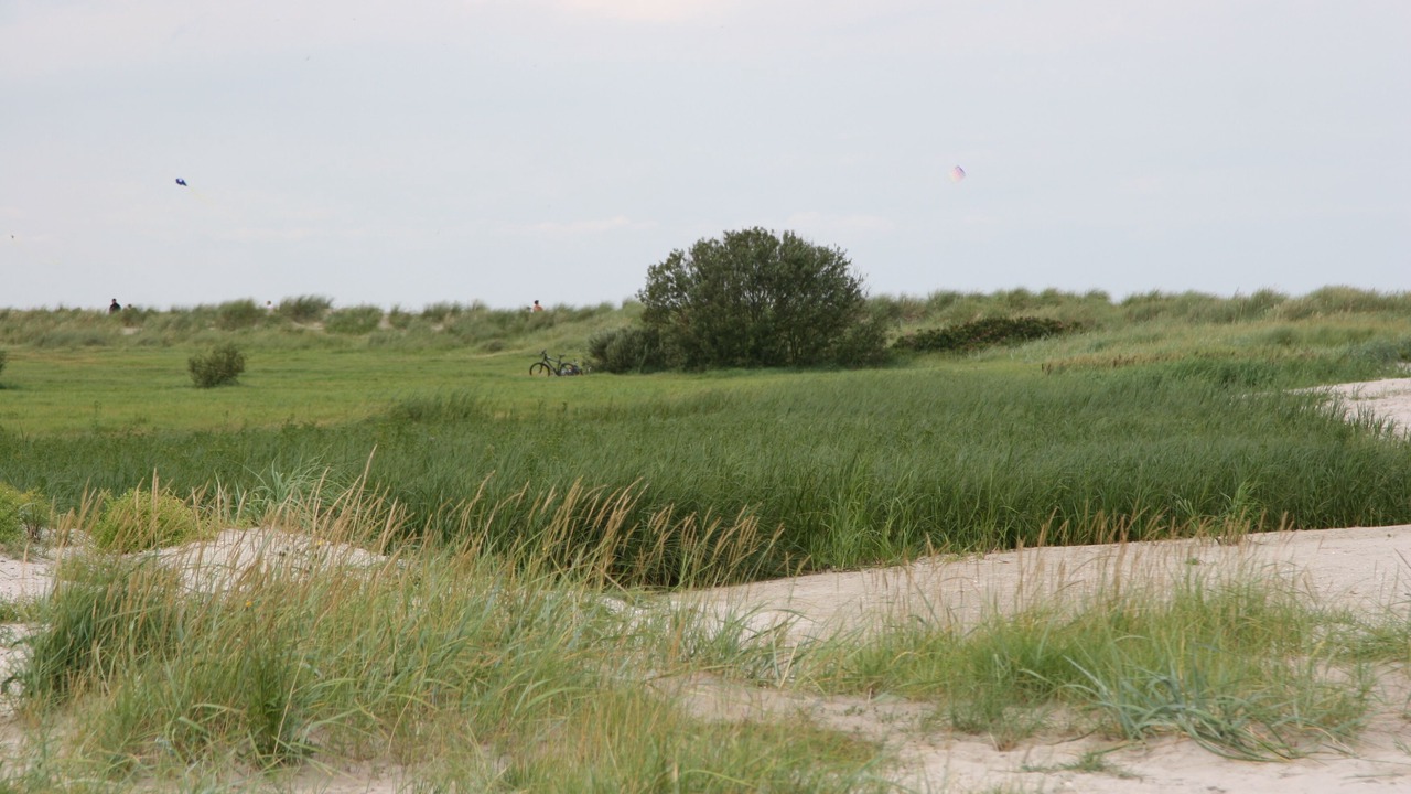 Photo of Outdoor in Horumersiel