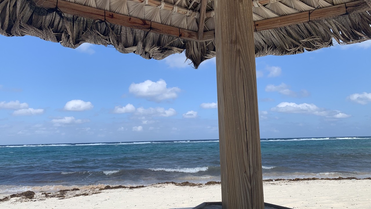 Photo of Others in Rum Point