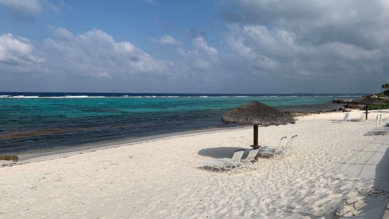 Photo of Others in Rum Point