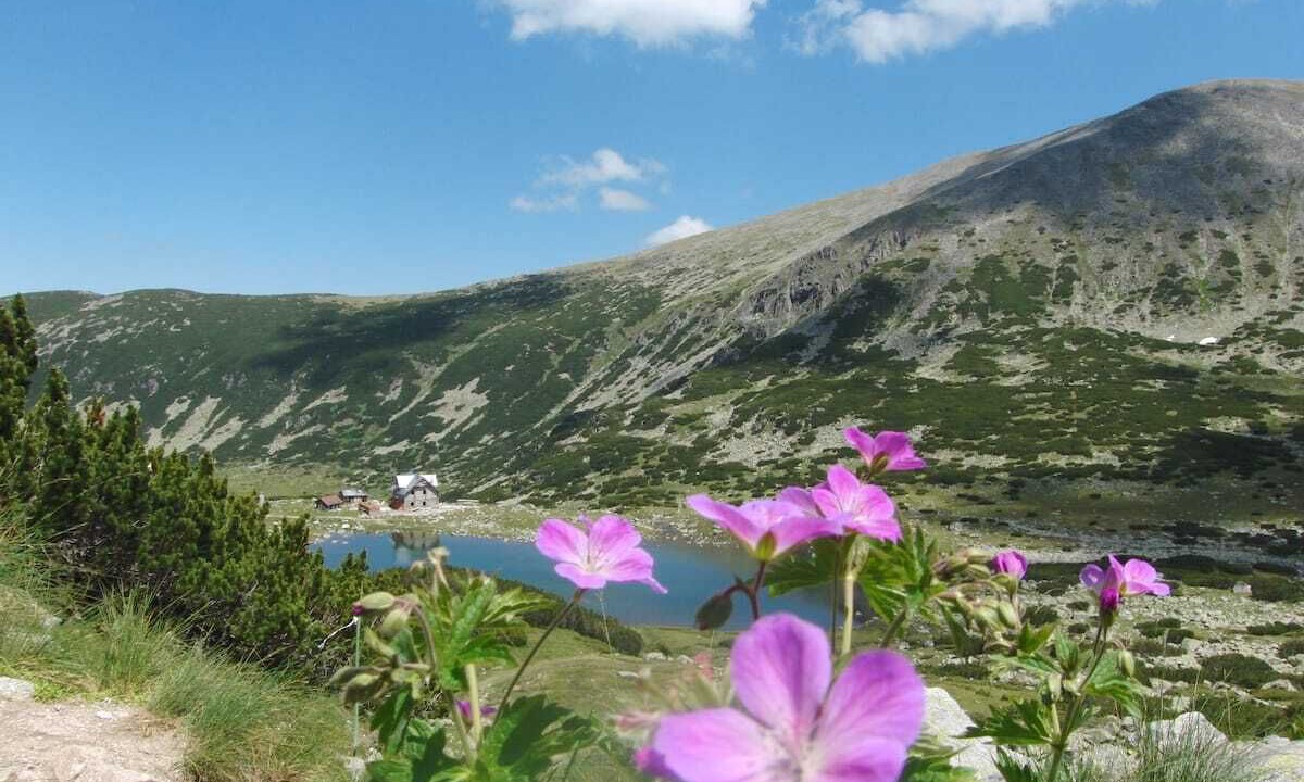 Photo of Outdoor in Borovets