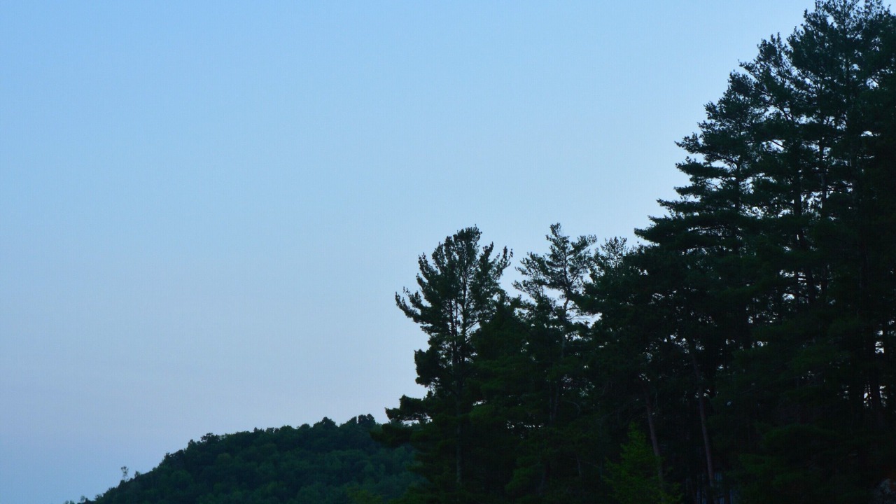 Photo of Others in Hubbardton