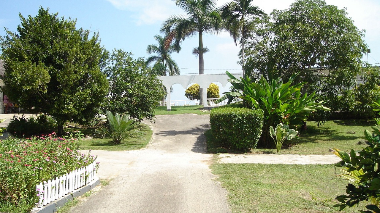 Photo of Outdoor in Tryall