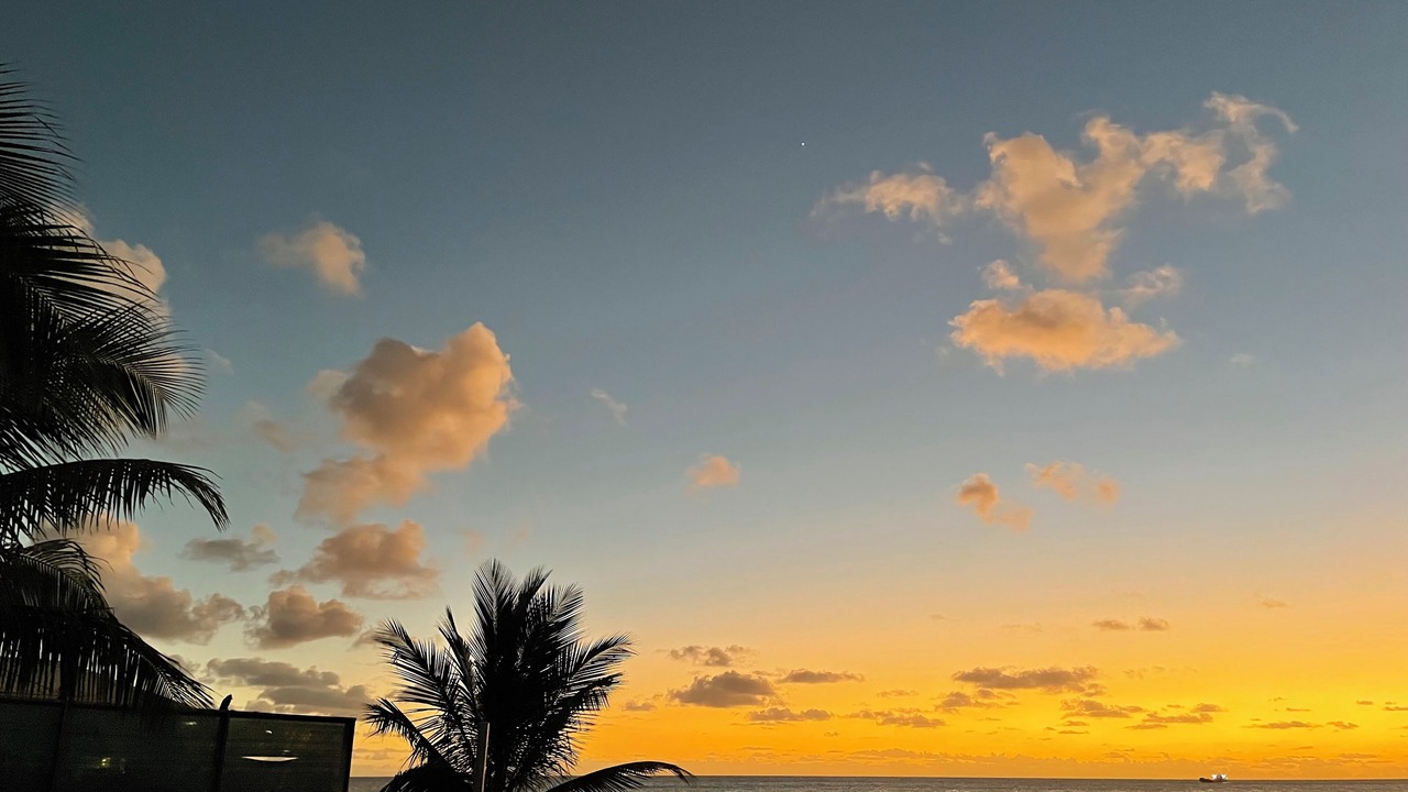 Photo of Others in Pelican Key