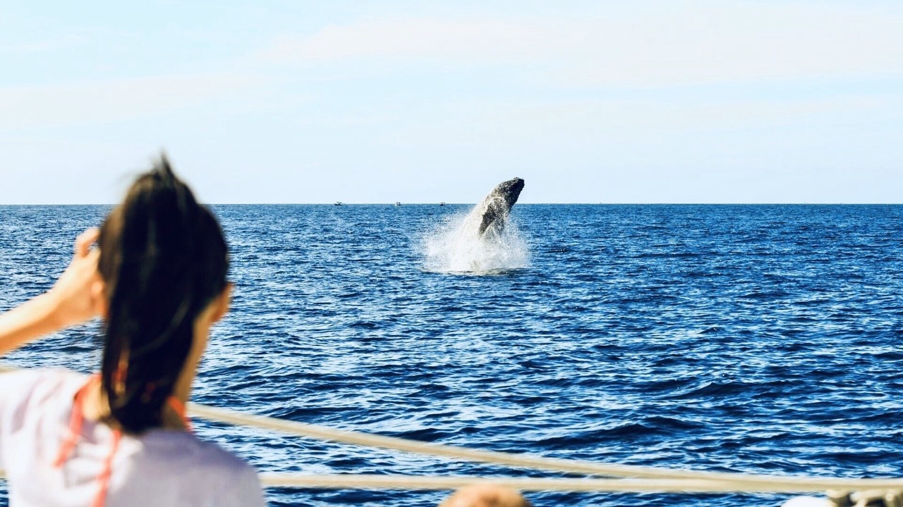 Photo of Others in Pedregal