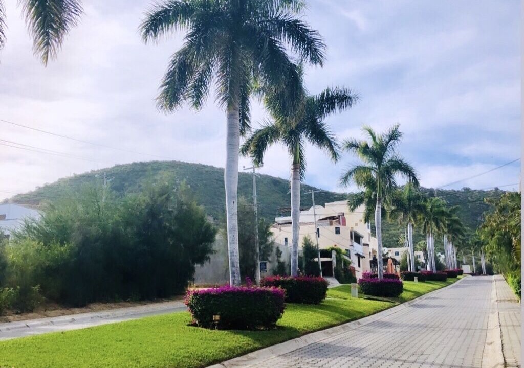 Photo of Outdoor in Pedregal