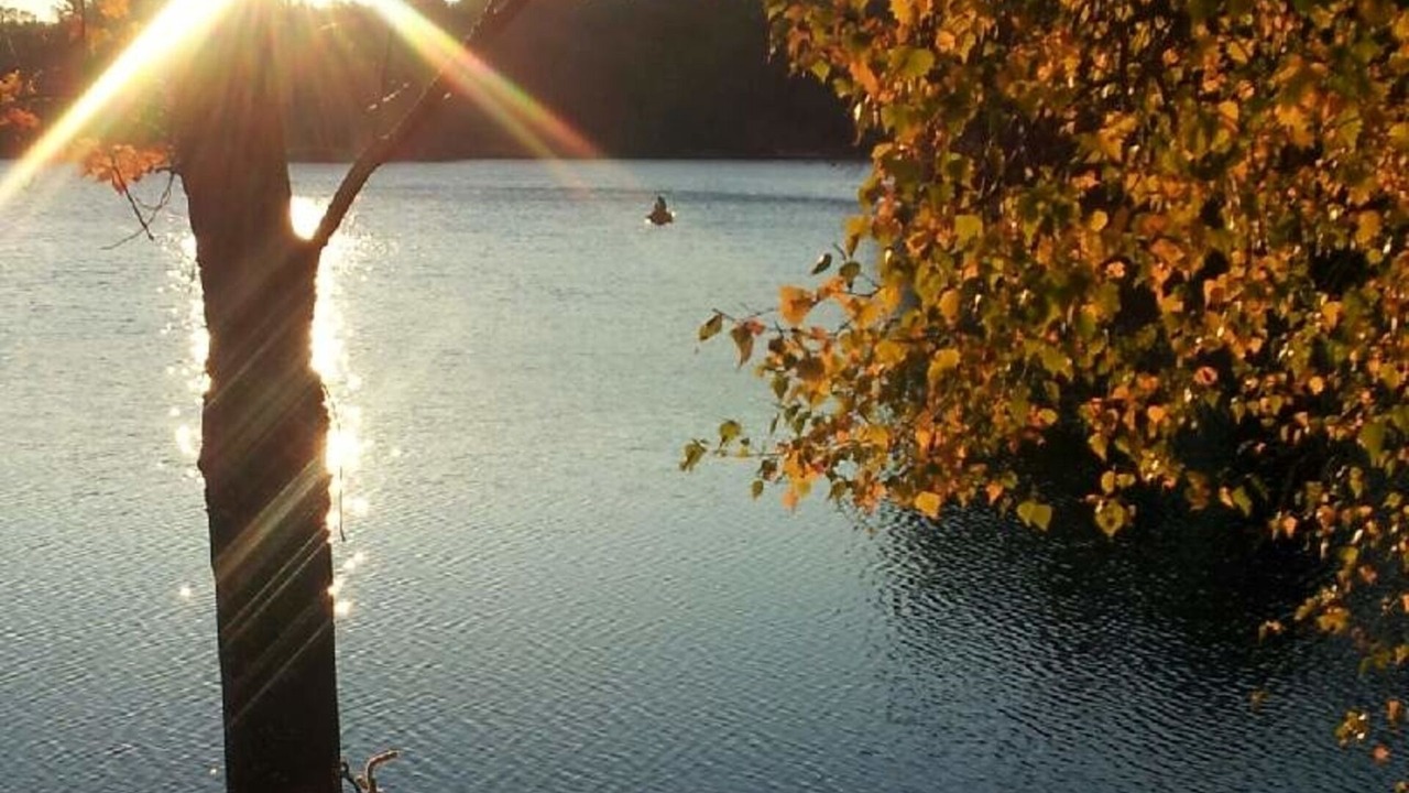Photo of Others in Wolfeboro