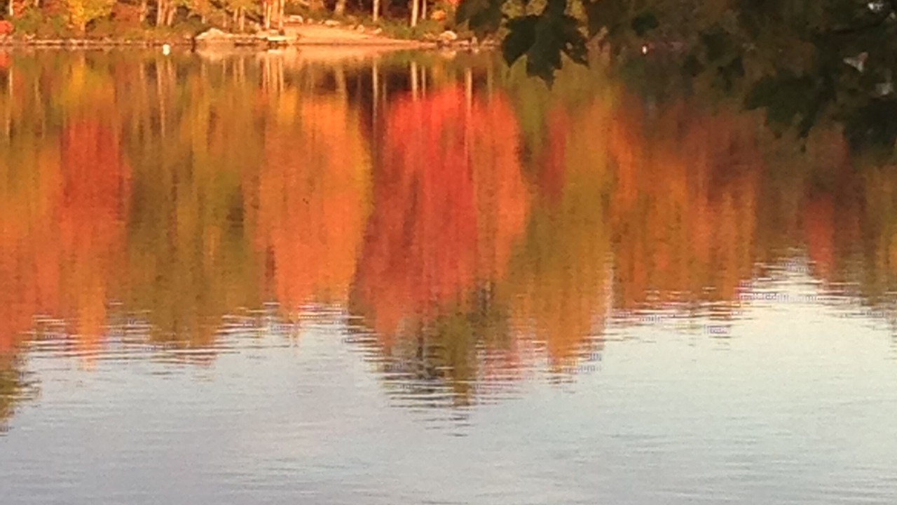 Photo of Others in Wolfeboro