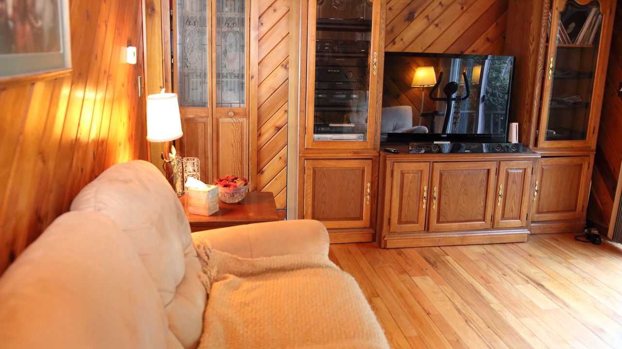 Photo of Livingroom in Town of Olive