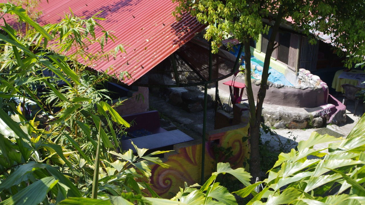 Photo of Others in Pokhara