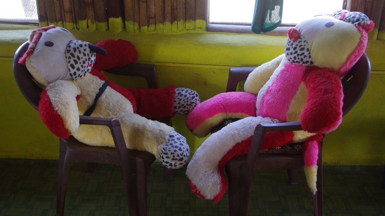 Photo of Others in Pokhara