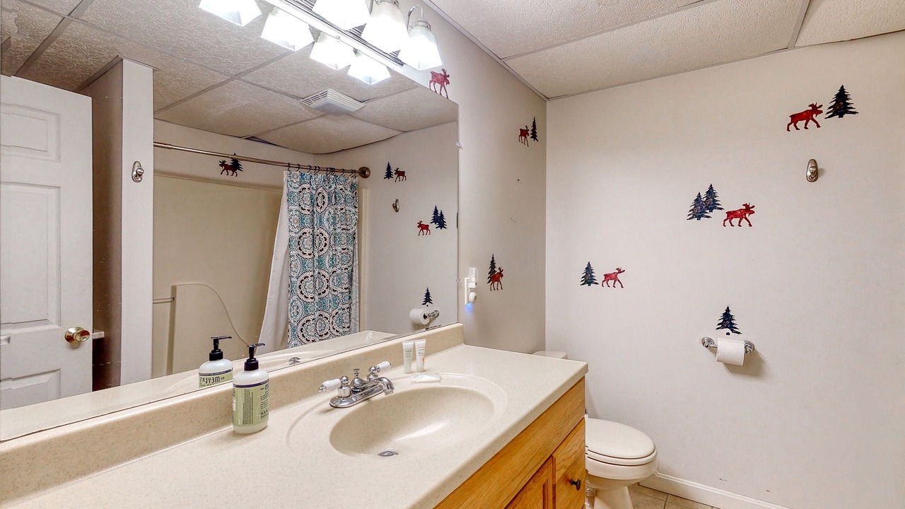 Photo of Bathroom in Eidelweiss Village