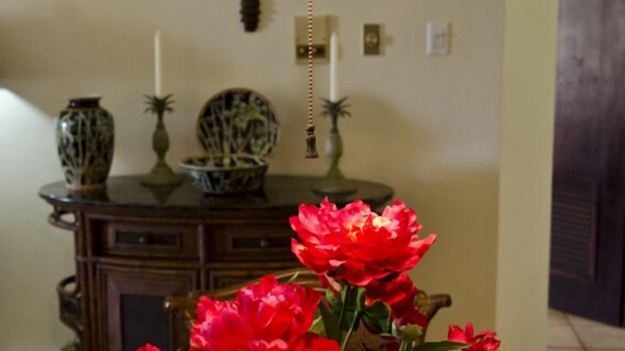 Photo of Livingroom in Candelero Abajo