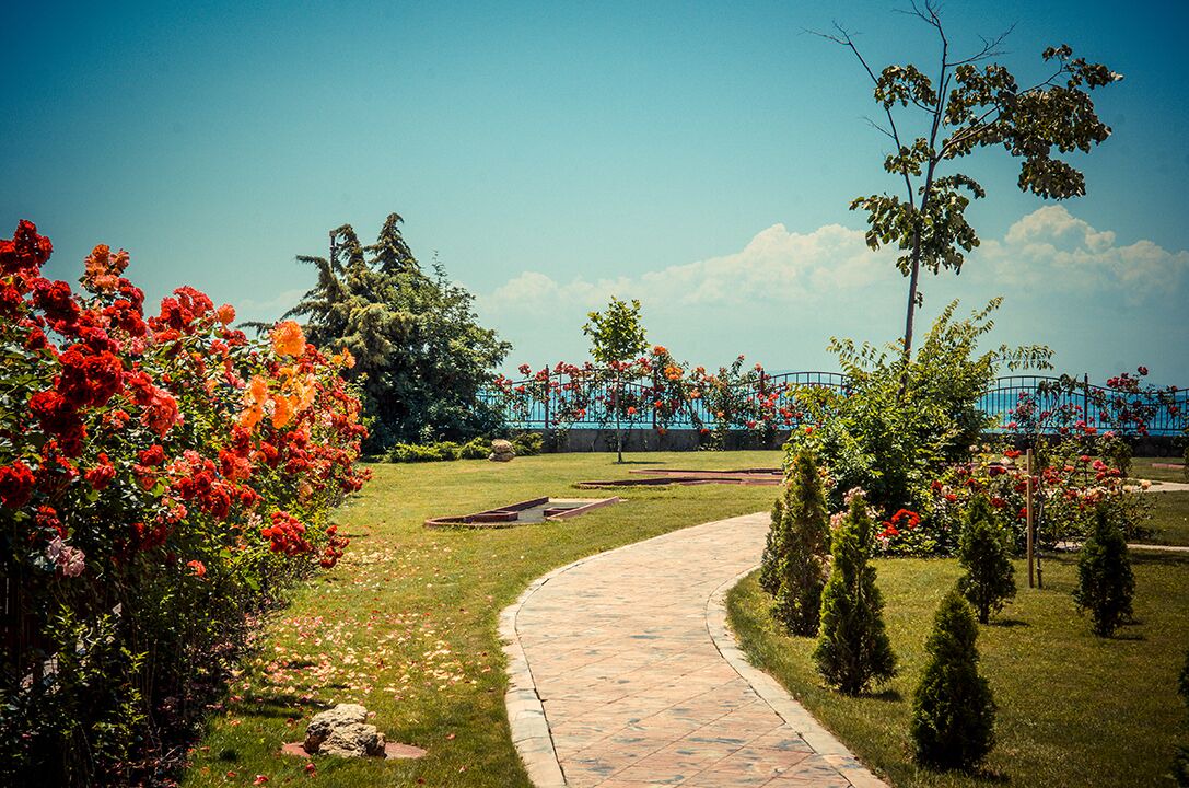 Photo of Outdoor in Elenite