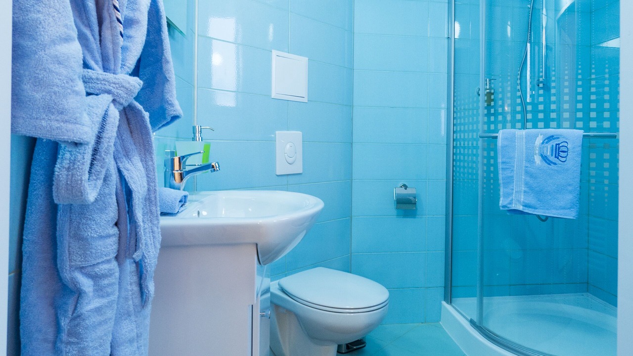 Photo of Bathroom in Vitosha District