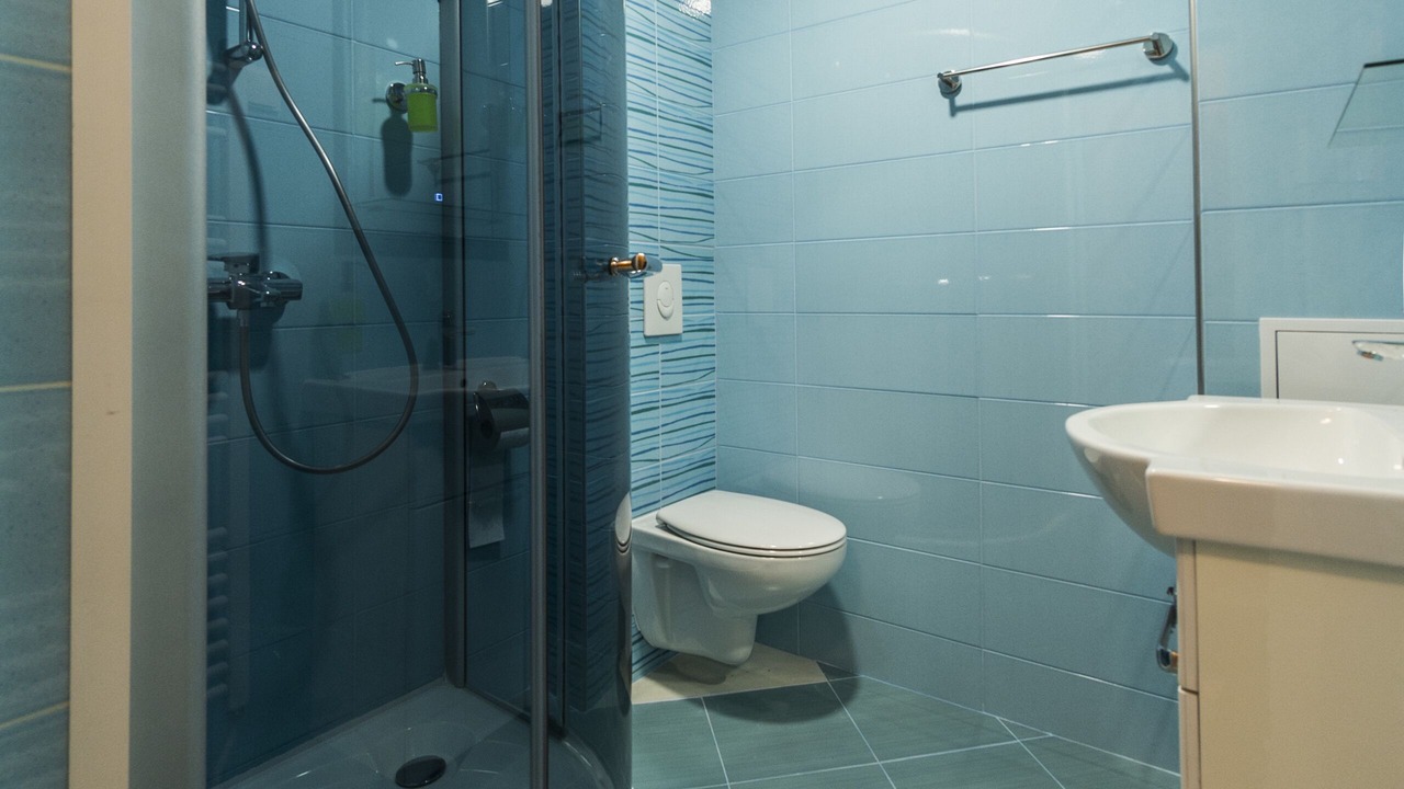 Photo of Bathroom in Vitosha District