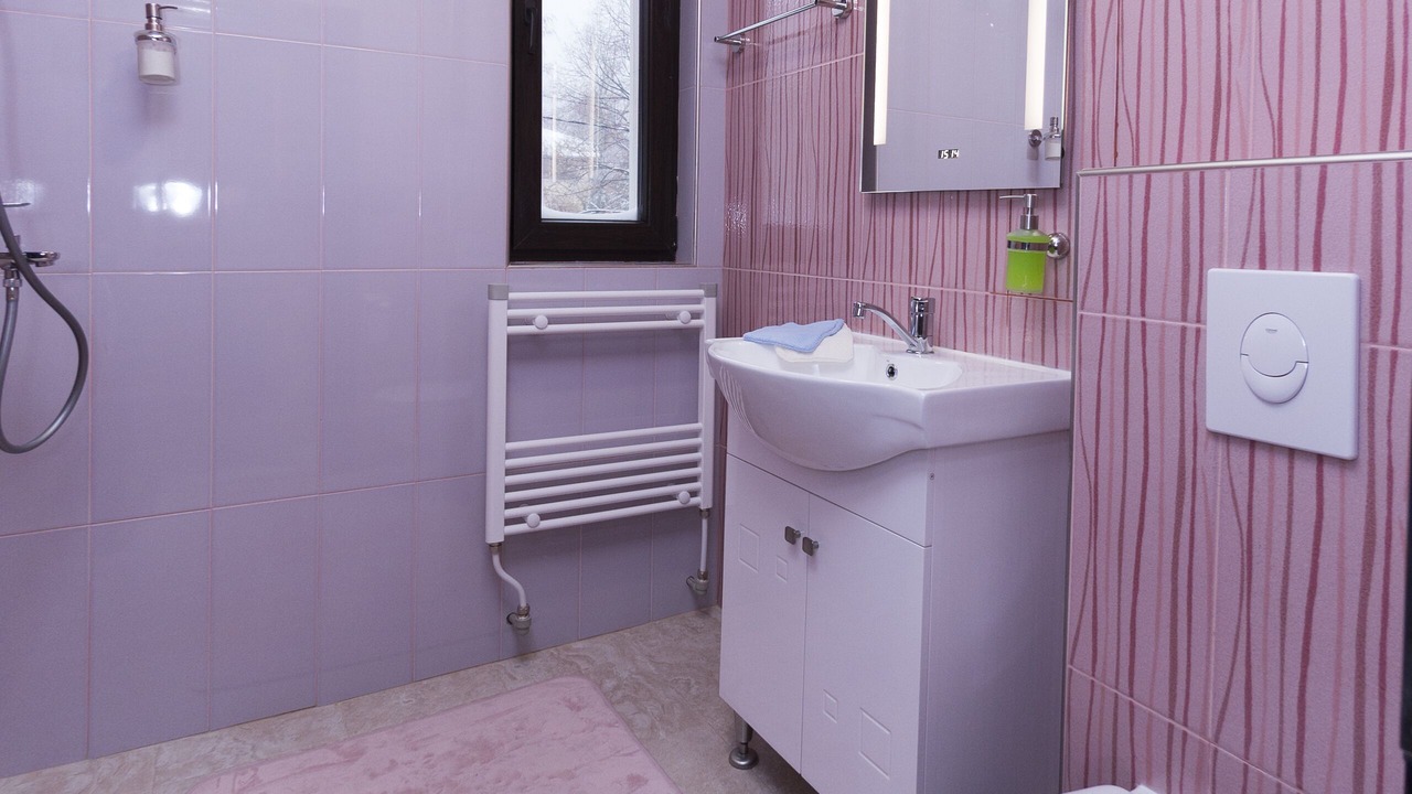 Photo of Bathroom in Vitosha District