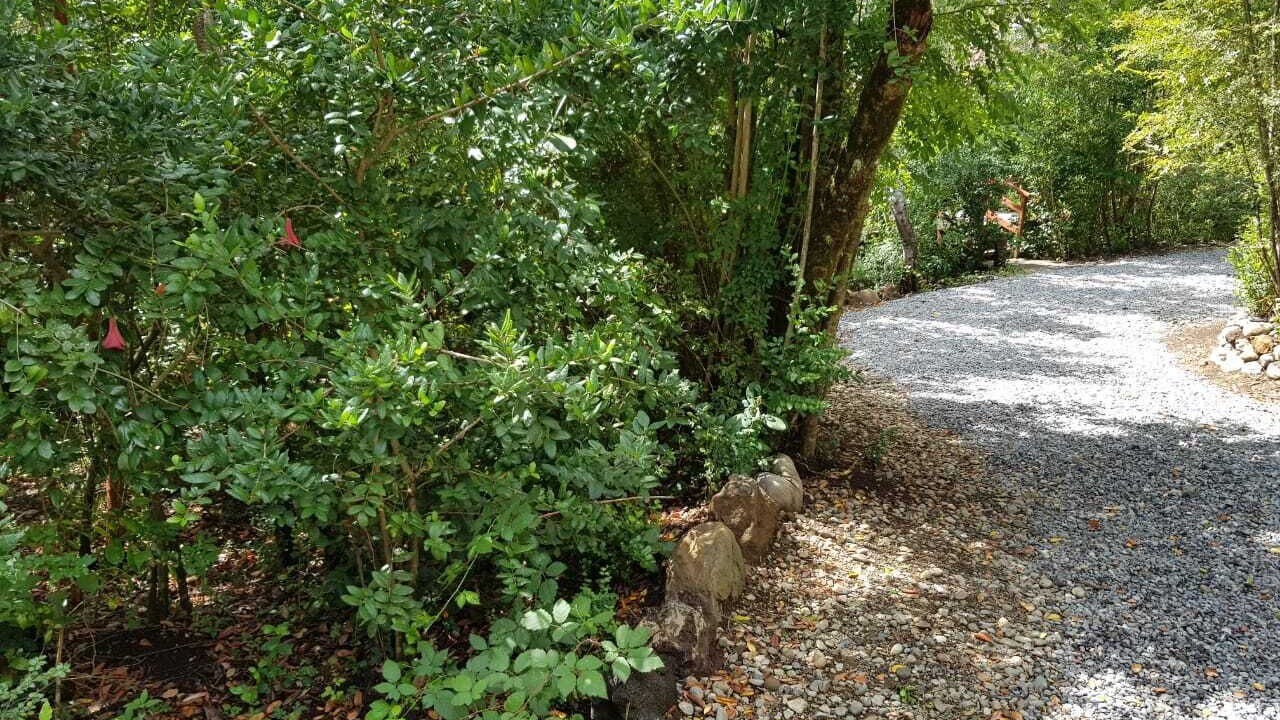 Photo of Outdoor in Pucon