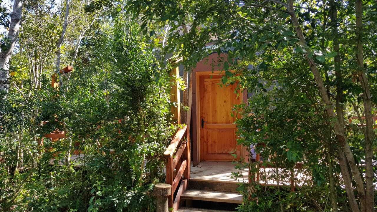 Photo of Outdoor in Pucon